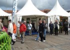 dampfer-welle-35-festwoche-bremerhaven_12