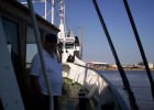 welle_zur39festwoche_04